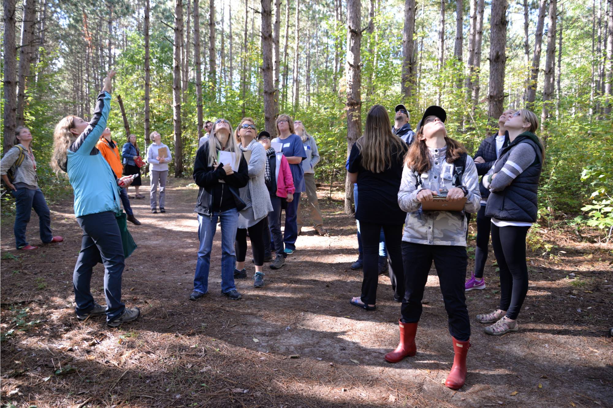 Educators looking up at trees